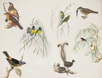 13680652_10209613236663810_644470521026798551_n