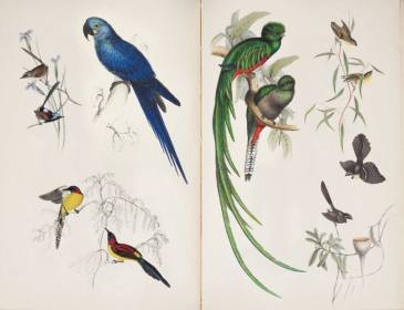 13692655_10209613170342152_2518697375758487952_n