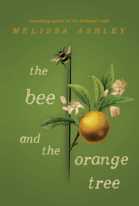 2019-07-05 (2) Cropped